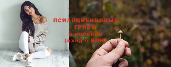 стаф Алексеевка