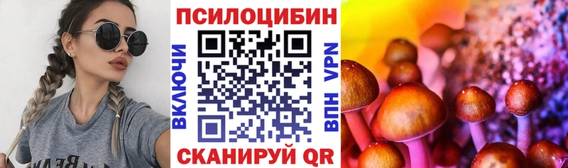 Псилоцибиновые грибы Psilocybe  Первоуральск 