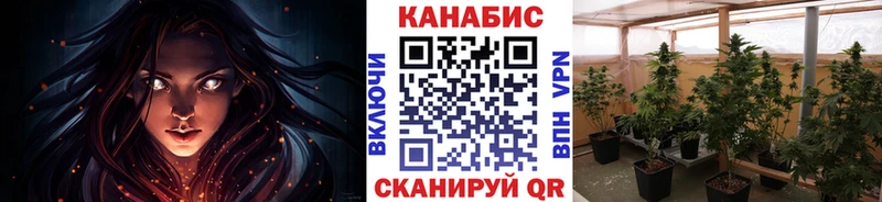 Бошки Шишки White Widow  darknet Telegram  Первоуральск 